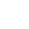 Crypto Icon
